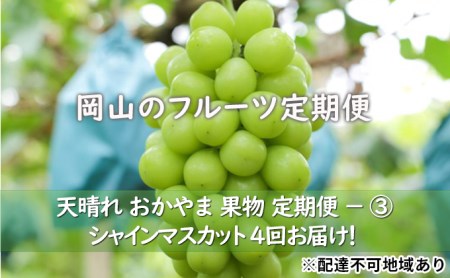 フルーツ 定期便 2024年 先行予約 天晴れ おかやま 果物 定期便 (3)  シャイン マスカット 4回お届け！ 岡山県産 国産 セット ギフト