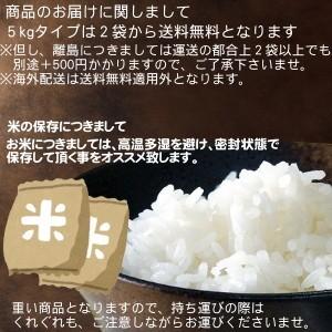 ひのひかり 無洗米 令和4年産 新米 お米 宮崎県産 10kg 九州 ヒノヒカリ 国産 九州 送料無料