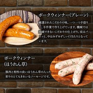 ふるさと納税 ソーセージ 山盛り セット 6種 シャルキュトゥリ・コイデ ウィンナー ウインナー ハム 肉 お肉 豚 食べ比べ 愛知県日進市