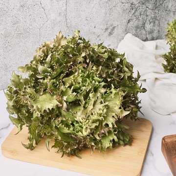 【綠十水耕生菜】紅火焰150g、生菜、沙拉、萵苣、水耕蔬菜