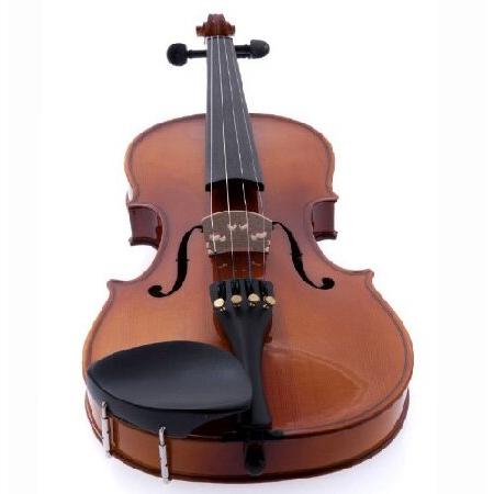 D'Luca CAD01 Orchestral Series Violin Outfit