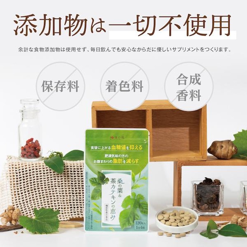 和漢の森　桑の葉 茶カテキン 120粒 国産お腹の脂肪を減らす ×3袋120粒入り×3袋原材料