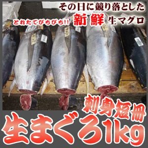 ＜生まぐろ刺身短冊正味1kg＞