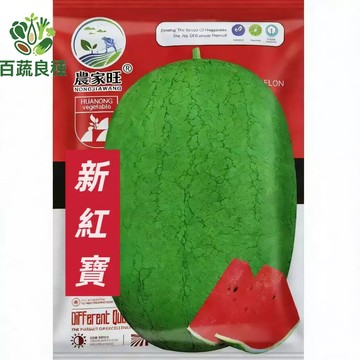 原裝新紅寶西瓜種子 大西瓜籽 台灣品種 家庭種植 瓜果種子 夏季瓜果 紅肉西瓜 中型果 沙地種植 耐運輸 田園栽培 果樹