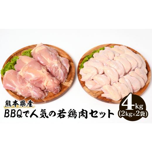 ふるさと納税 熊本県 八代市 熊本県産 BBQで人気の若鶏肉セット(もも肉・手羽先)各2kg 合計4kg