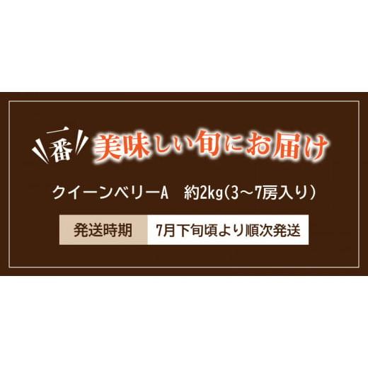 ふるさと納税 香川県 三豊市 M02-0060_クイーンベリーA　約2kg