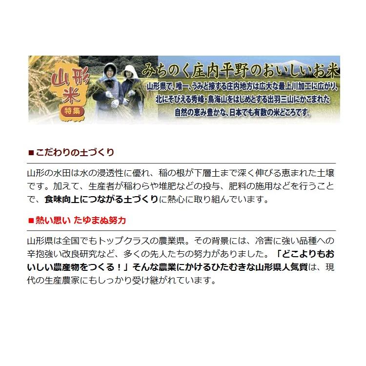 令和4年 山形県 庄内産 はえぬき 一等米 玄米 5kg （特別栽培米）