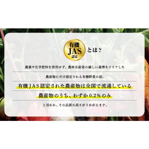 ふるさと納税 石川県 小松市 西田農園　季節の野菜詰合せ　6ヶ月定期便