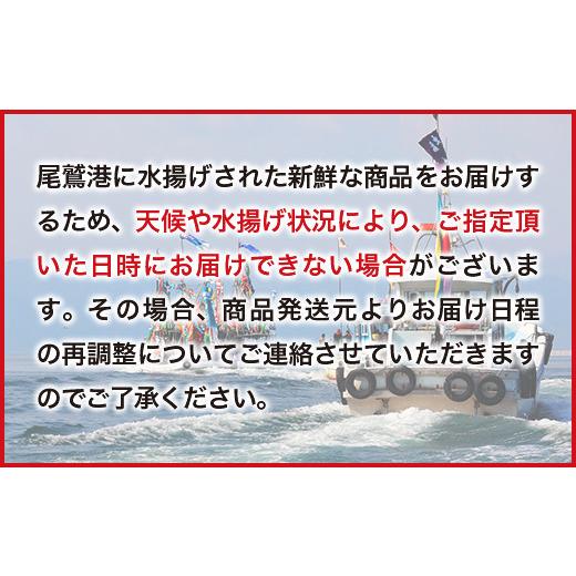 ふるさと納税 三重県 尾鷲市 伊勢エビセット 2〜4尾（約１kg)12月から1月1日到着分　UO-50