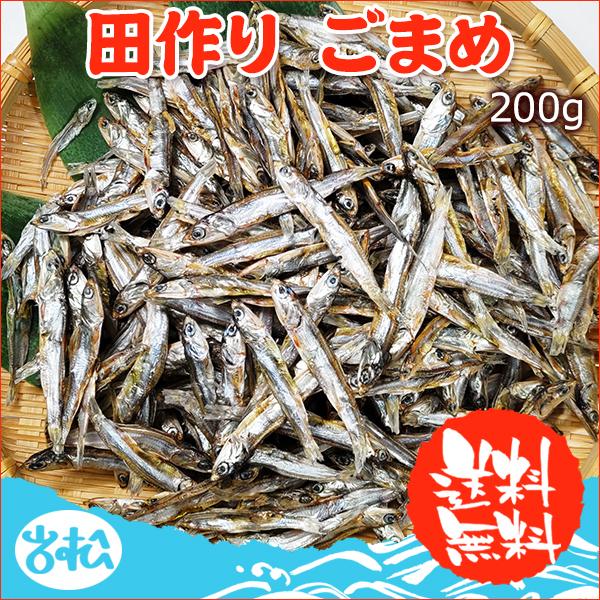 国産 無添加 食べるいりこ 田作り かたくちいわし 煮干し 雑魚 おせち