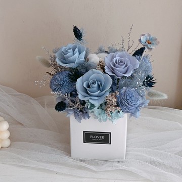 星夜藍永生盆花 大型方盆花