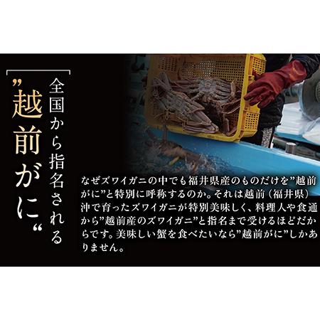 ふるさと納税 越前がに（オス）「ずわいがに」大サイズ（800g-1kg） 2杯 福井県越前市