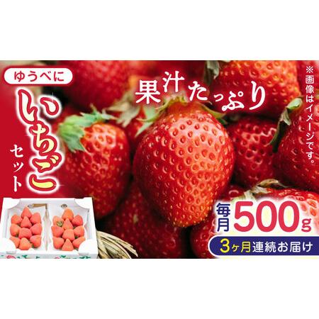 ふるさと納税 熊本県産 ゆうべに いちご  セット 250g×2P 農園直送 産地直送 熊本県産いちご 山都町産いちご .. 熊本県山都町