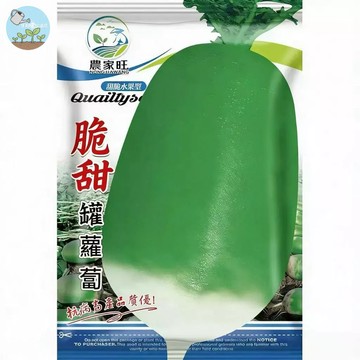 【原廠包裝】791白蘿蔔種子（791 Can Radish）6克裝 台灣高產量品種 四季可種 播種約40-45天採收
