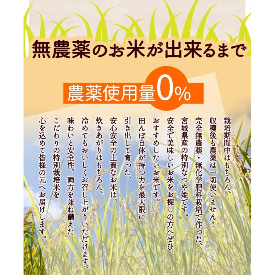 5分づき 無農薬 つや姫 2kg 令和4年福宮城産 特別栽培米 無農薬 無化学肥料栽培