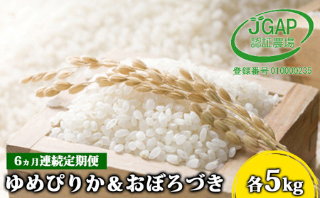 ◆6ヵ月連続お届け お米の定期便◆北海道日高R5年産 ゆめぴりか＆おぼろづき 各5kg 食べ比べ セット JGAP認証