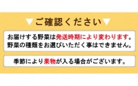 ”雲仙のめぐみ”旬の野菜セット（Ｓ） 8～10品目セット