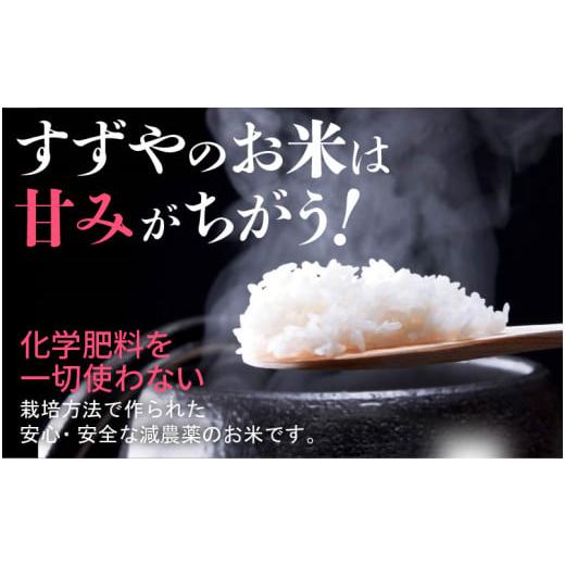 ふるさと納税 福井県 越前町 [e35-c004_02] 定期便 ≪6ヶ月連続お届け≫ 減農薬米こしひかり 5kg × 6回（計30kg） 令和6年 福井…