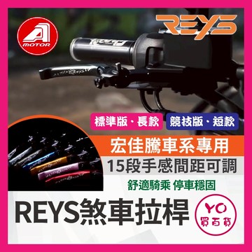 YO買百貨🔥九折🔥REYS拉桿 STR STR拉桿 STR300 250 350R 機車拉桿 重機拉桿 拉桿 宏佳騰