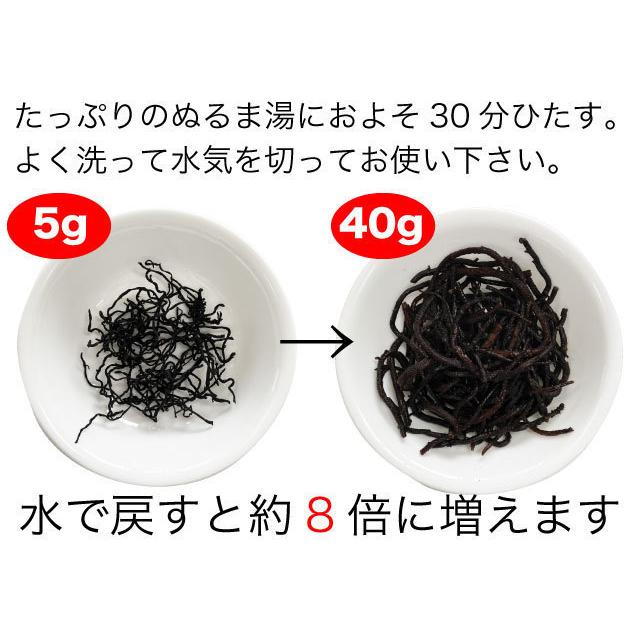 ひじき 長ひじき 国産 天然ひじき 30g お試し ポイント消化 海藻 送料無料