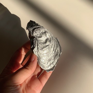 天然牡蠣擺盤#銀色 東石生蠔母貝殼/手工藝品/飾品盤