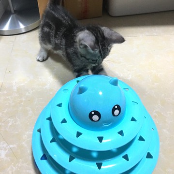 貓玩具貓轉盤球三層逗貓棒貓抓板磨爪器小貓咪玩具寵物貓用品包郵