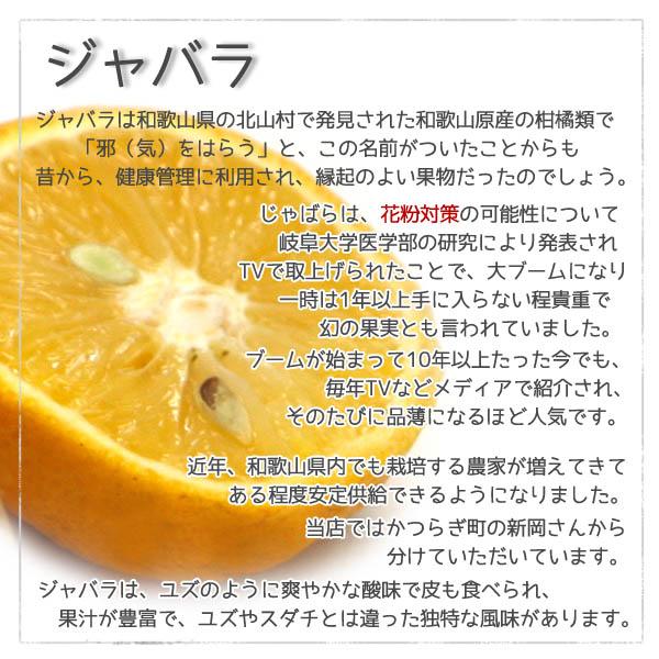 「ジャバラピール50g」簡易パック　和歌山産じゃばらの果皮を砂糖漬けしたオレンジピール　花粉の季節に