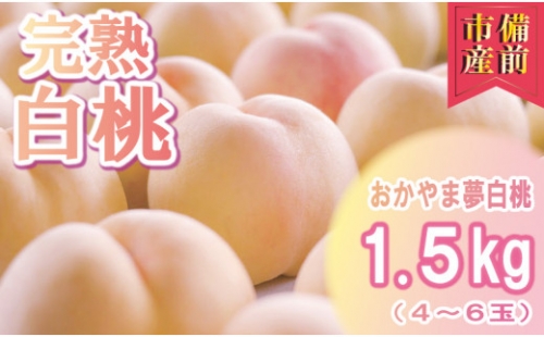 岡山県備前市産　樹上完熟白桃「おかやま夢白桃」約1.5kg（4～6玉入）