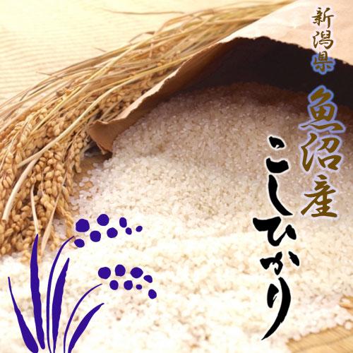 新米　コシヒカリ　有機米　魚沼産コシヒカリ　米　令和5年産 こだわりの天日干しで作る 「魚沼産JAS有機米コシヒカリ」