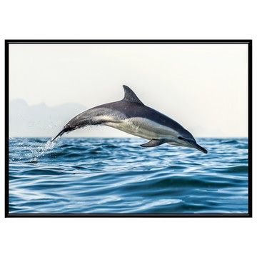 BOLUO GALLERY 菠蘿選畫所 海豚與浪花 ANSL3414B 掛畫  40 x 30cm  黑色