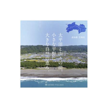 ふるさと納税 野菜とお米の詰合せ 高知県芸西村