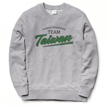 TEAM Taiwan 中性 大學T 4色 刷毛 挺台灣台語休閒潮流穿搭禮物班服團體服活動社團寬鬆金牌棒球冠軍