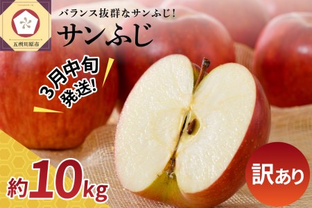 りんご　 りんご 10kg サンふじ 青森 不揃い サンふじりんご