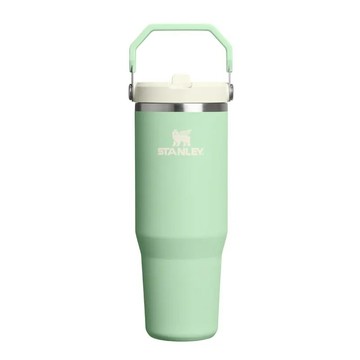 STANLEY 經典系列 IceFlow 手提吸管杯2.0 / 0.88L / 開心果綠