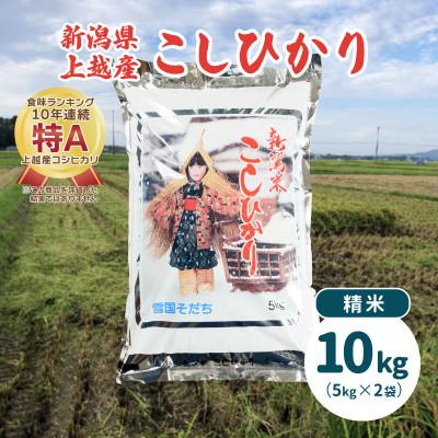 ふるさと納税 上越市 令和5年産・新潟県上越産 コシヒカリ 精米10kg(5kg×2)|美味安全野菜栽培士が栽培したお米