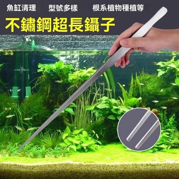 🔥臺灣出貨🔥鑷子不鏽鋼 圓頭帶齒長柄取物魚缸喂龜烏龜餵食專用 水草加長超長