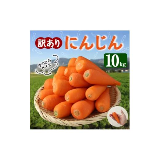 ふるさと納税 熊本県 西原村 訳あり にんじん 10kg