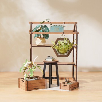 紙植栽模型【DIY材料包】圓葉花燭.亞洲猴腦鹿角蕨.斑葉龍爪蔓綠