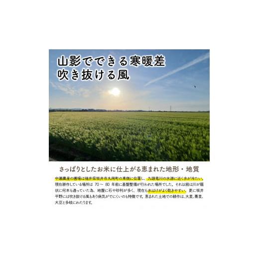 ふるさと納税 福井県 坂井市 福井県坂井市丸岡町産 コシヒカリ 計5kg（玄米）  [A-11302_02]