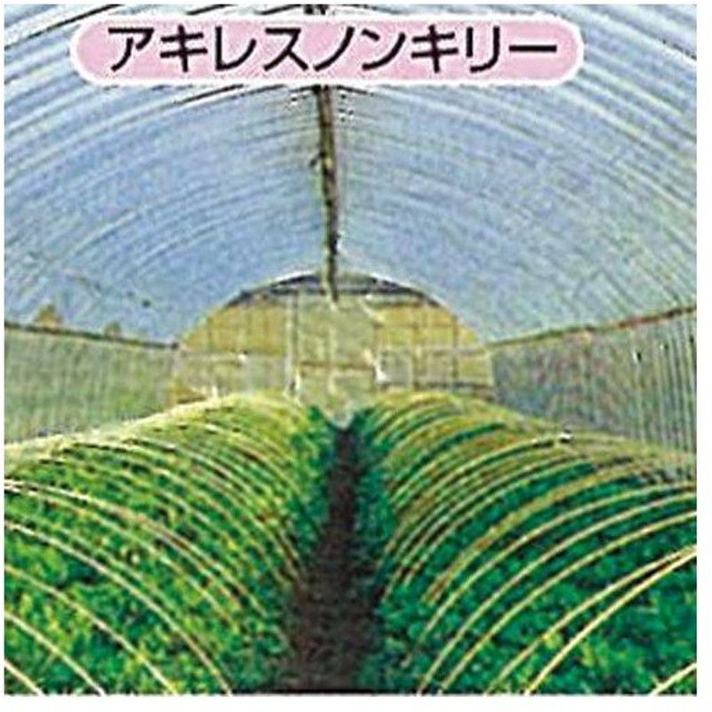 農ビ サラットらくらく ロール巻 厚み0.05mm×幅185cm×長さ100m 透明 最安値級価格 透明