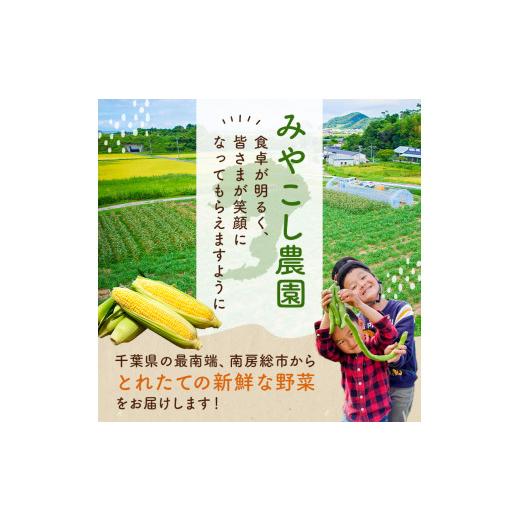 ふるさと納税 千葉県 南房総市 早朝収穫！当日到着！とうもろこし10〜12本（味甘ちゃん） mi0046…