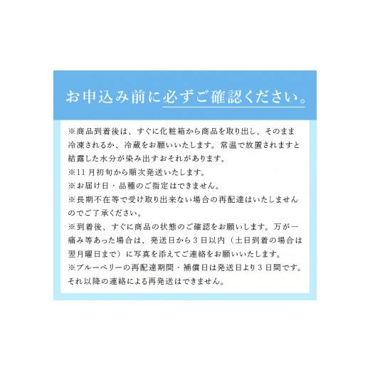 ふるさと納税 山梨県 北杜市 大人気！甘くジューシーな冷凍ブルーベリー2kg（1kg×2パック）