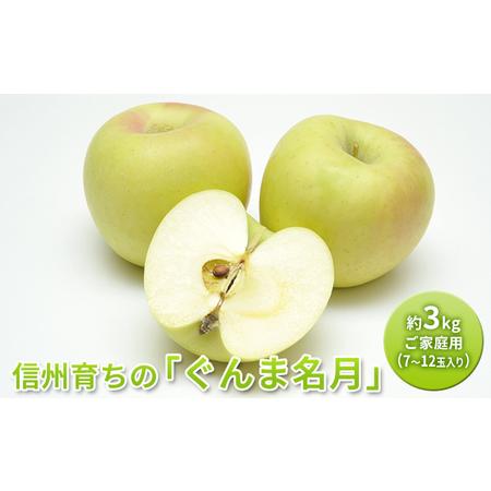 ふるさと納税 信州育ちの「ぐんま名月」です　約3kg(家庭用)(7〜12玉入り) 長野県長野市