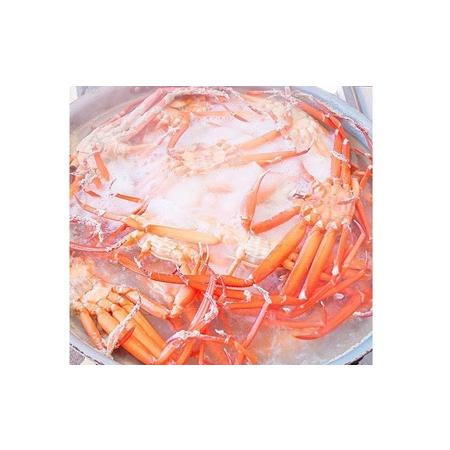 ふるさと納税 新湊産紅ズワイガニ約1kg（2〜3尾） 富山県射水市