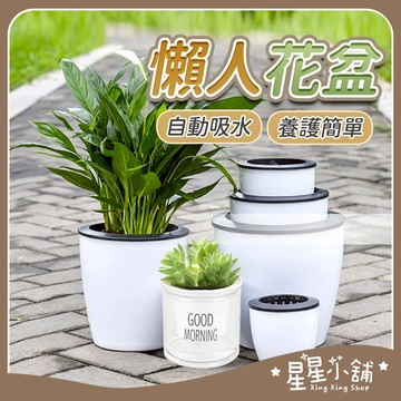 台灣現貨 懶人盆栽 自動吸水花盆 花盆 透明花盆 盆栽 水培花盆 吸水花盆 吸水盆栽 塑膠花盆 水耕 星星小舖