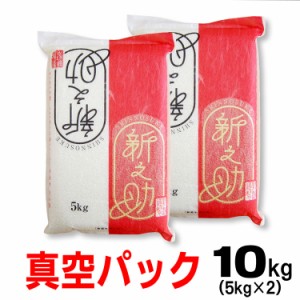 米 令和5年産 真空パック 新潟産 新之助 10ｋｇ （5ｋｇ×2） 北海道～九州は送料無料（沖縄2,000円）