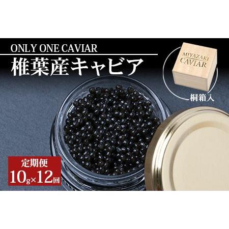 ふるさと納税 定期便 HEIKE CAVIAR  チョウザメ キャビア【世界三.. 宮崎県椎葉村