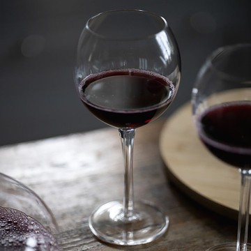 saga 紅酒杯350ml 2入