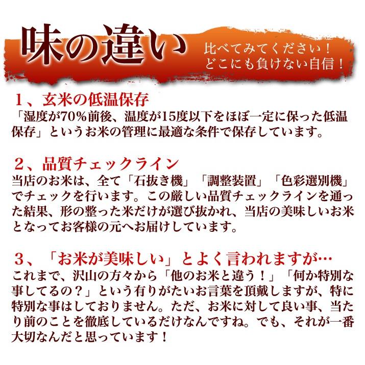 令和5年 新米 2023年 山形県産 はえぬき 20kg (5kg×4袋)  白米  米 お米 こめ ポイント消化 産地直送