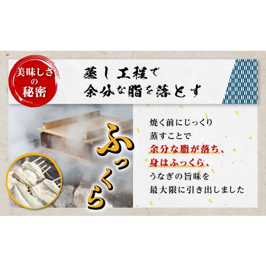 ふるさと納税 鹿児島県 大崎町 《関東風蒸し焼き》ふっくらやわらか鹿児島県産うなぎ蒲焼4尾セット（600g）